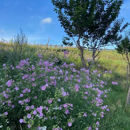 Jelenczowka Alte Dorfschule Апартаменты *