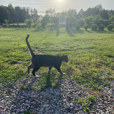 Jelenczowka Alte Dorfschule Parchowo