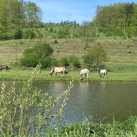 Lägenhet Jelenczowka Alte Dorfschule Parchowo