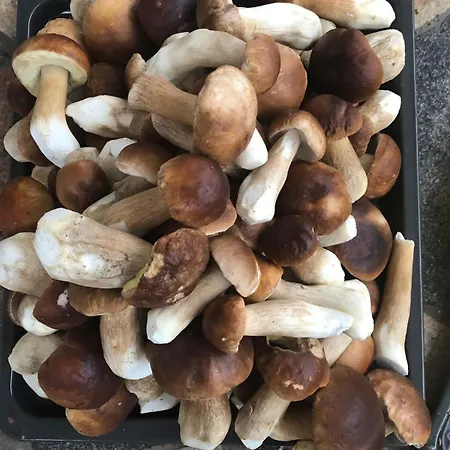 شقة Jelenczowka Alte Dorfschule