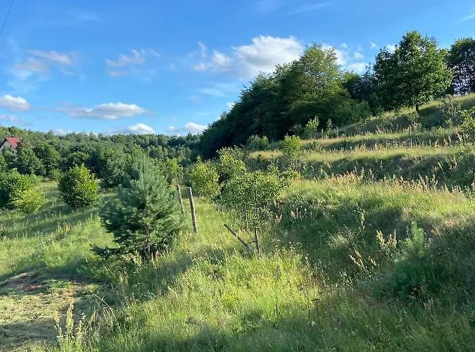 Jelenczowka Alte Dorfschule Parchowo