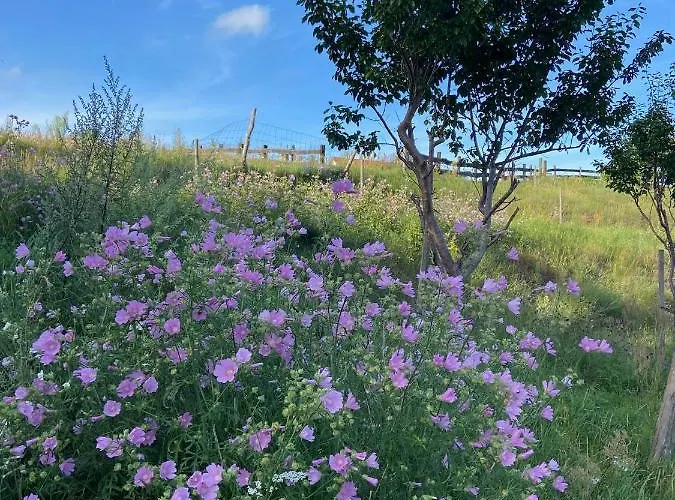 Jelenczowka Alte Dorfschule Lägenhet *