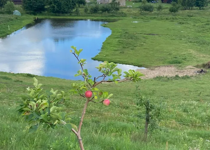 Lägenhet Jelenczowka Alte Dorfschule *