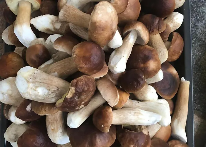 Lägenhet Jelenczowka Alte Dorfschule